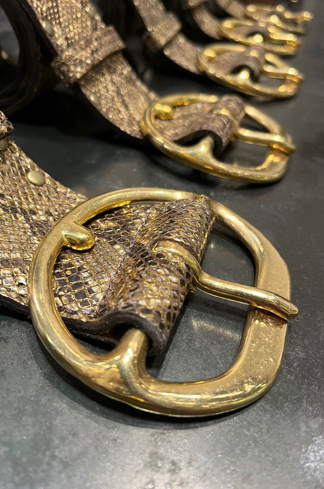Gold snake belt Snake belt – Scott Fraser Collection main image 4